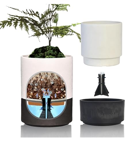 Amazon.co.jp: レア花キューピット植木鉢 はなかっぱももかっぱ